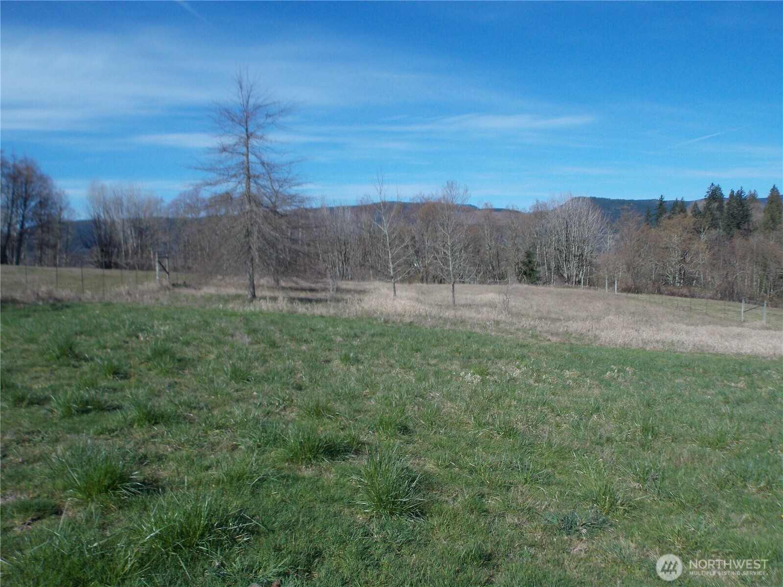 150 Elk Ridge Road Mossyrock, WA 98564 - Photo 9 of 14 Gallery Image 9