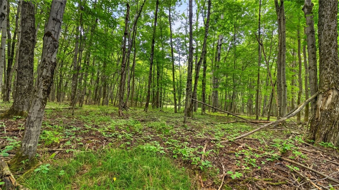 198 Otte Road Fulton, NY 12149 - Photo 39 of 44 Gallery Image 39