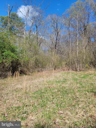 a view of house with a yard