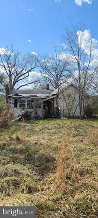 a view of backyard with wooden fence and large trees