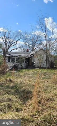 a view of backyard with wooden fence and large trees