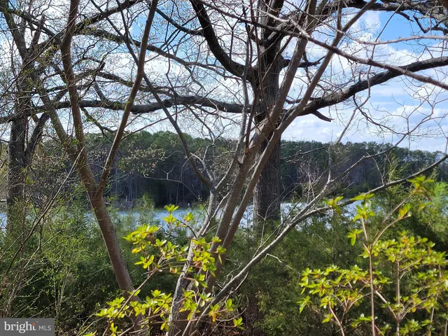 a view of a wooden bridge