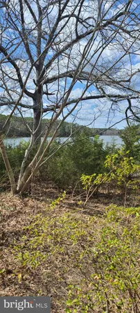 a view of a backyard of the house