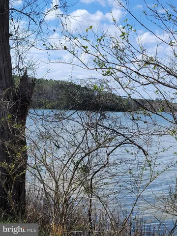 a view of a lake from a yard