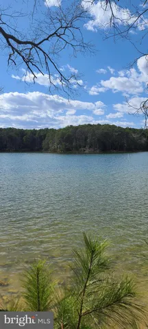 a view of big yard next to a yard
