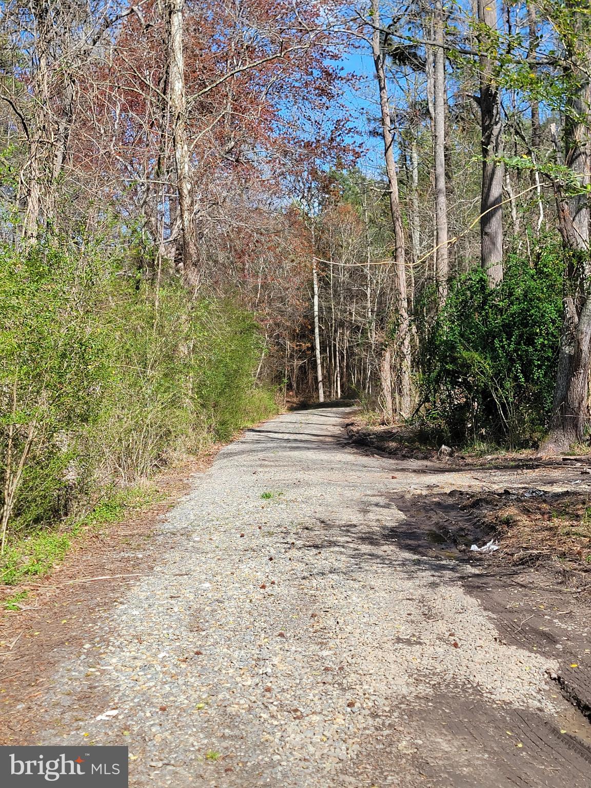 922 Skipjack Road Kinsale, VA 22488 - Photo 6 of 34 front end of driveway deeded easement