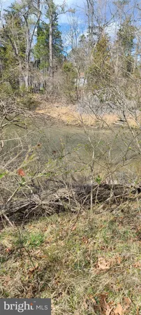 a view of backyard with green space