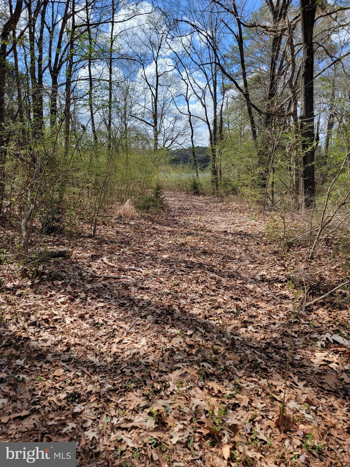 922 Skipjack Road Kinsale, VA 22488 - Photo 9 of 34 just around this bend is that view