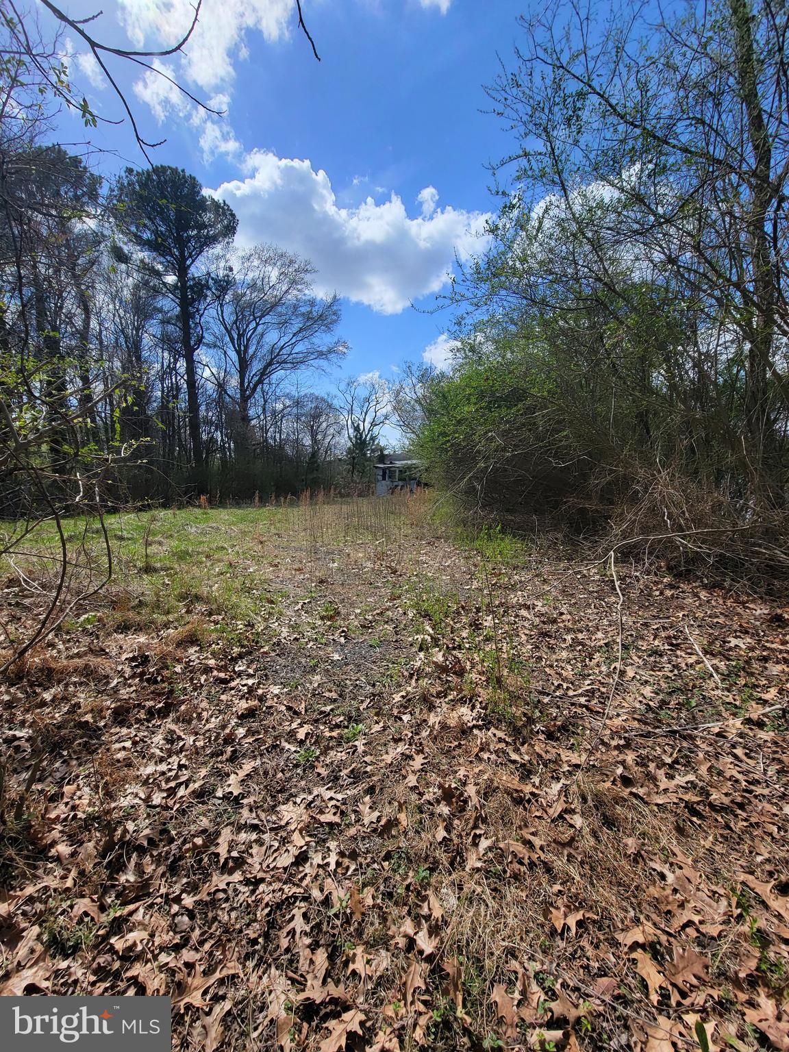 922 Skipjack Road Kinsale, VA 22488 - Photo 10 of 34 end of driveway opens up to your flat lot
