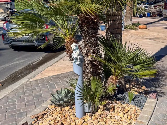 a view of a yard with plants and wooden fence