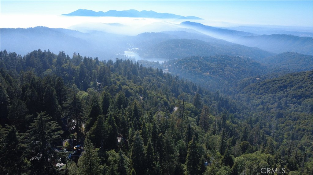 25659 North Road Twin Peaks, CA 92391 - Photo 1 of 10 a view of a city with lush green forest
