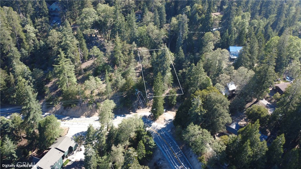 25659 North Road Twin Peaks, CA 92391 - Photo 2 of 10 a view of a tree in a forest