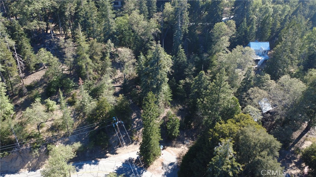 25659 North Road Twin Peaks, CA 92391 - Photo 4 of 10 a view of a forest with a tree