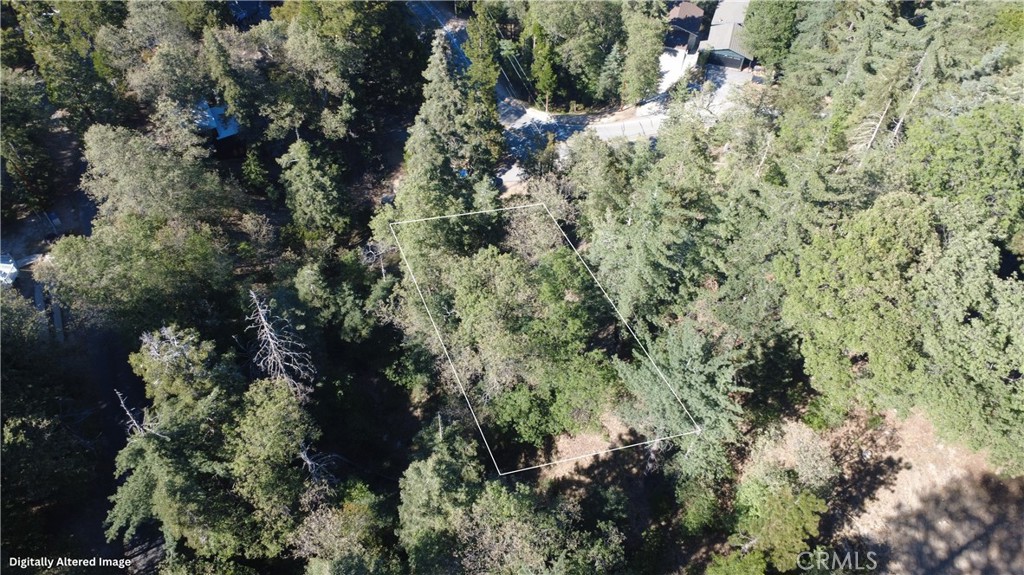 25659 North Road Twin Peaks, CA 92391 - Photo 5 of 10 a view of a house with a lush green forest