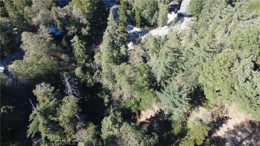 25659 North Road Twin Peaks, CA 92391 - Photo 6 of 10 a view of a house with a lush green forest