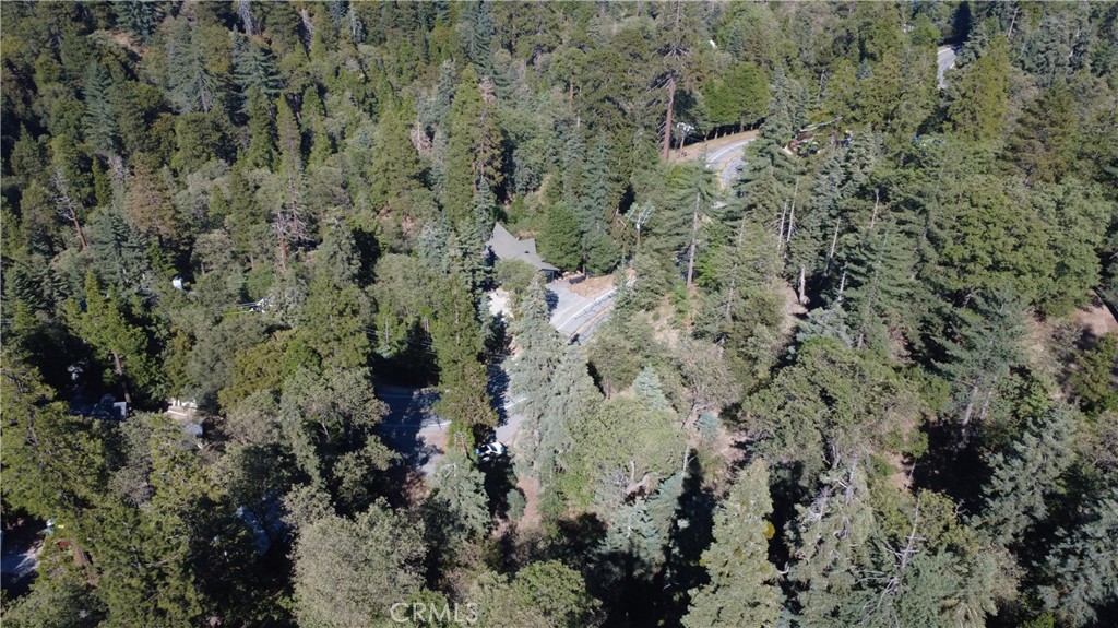 25659 North Road Twin Peaks, CA 92391 - Photo 7 of 10 a view of a forest with a building