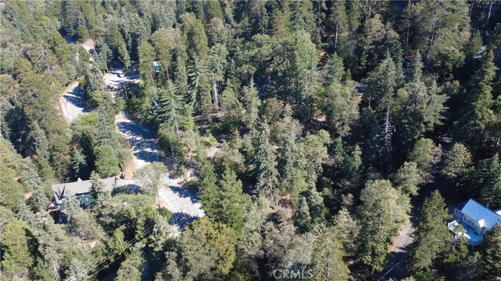 25659 North Road Twin Peaks, CA 92391 - Photo 9 of 10 a view of a house with a tree