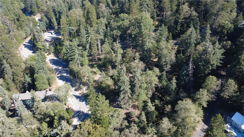 25659 North Road Twin Peaks, CA 92391 - Photo 10 of 10 a view of a house with a tree