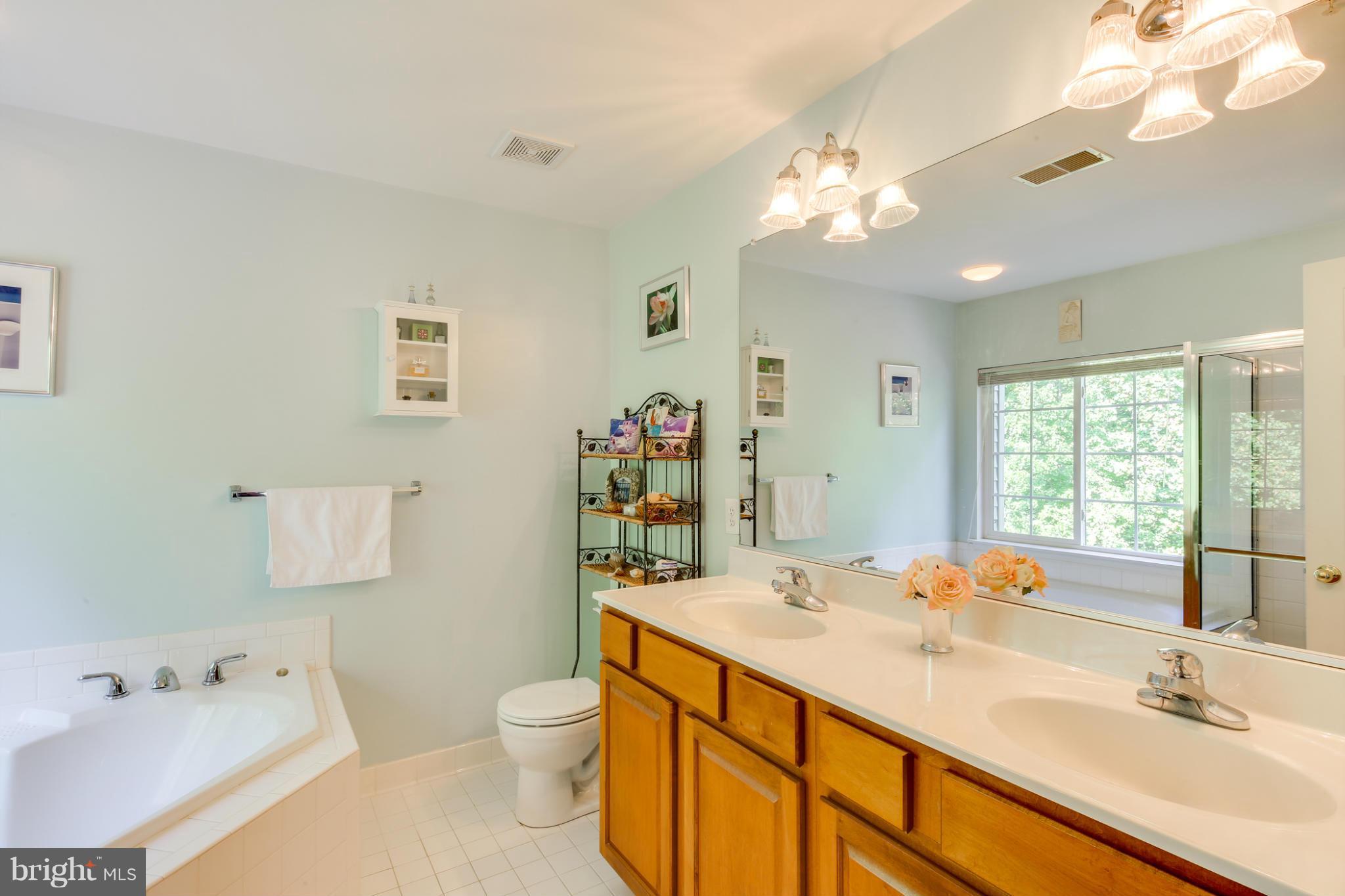 18816 Broken Oak Road Boyds, MD 20841 - Photo 16 of 26 Bath (Master)