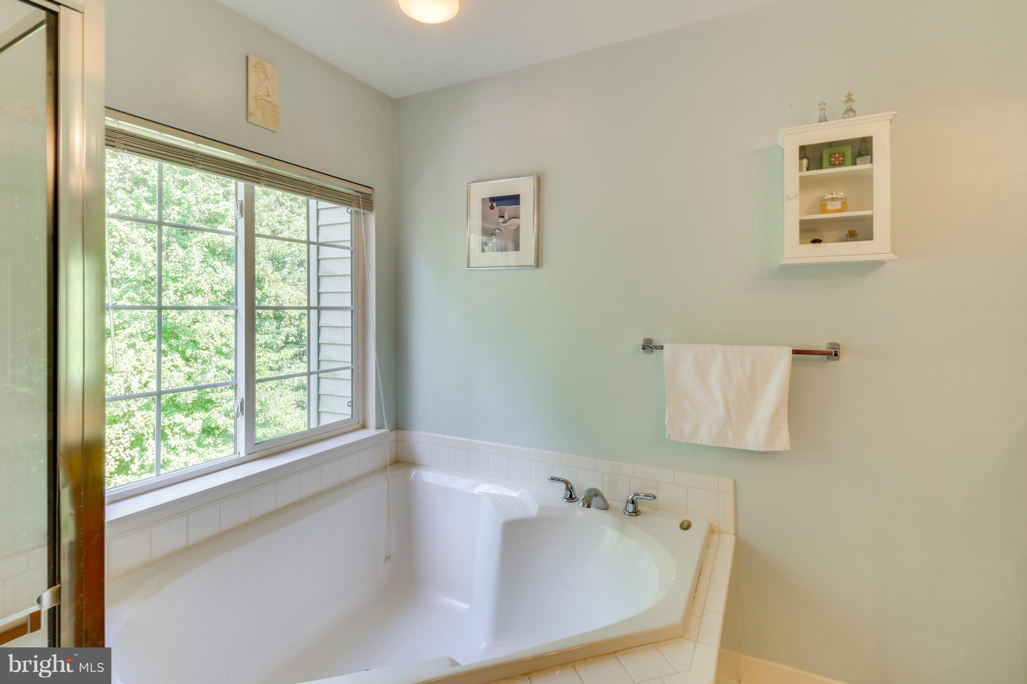 18816 Broken Oak Road Boyds, MD 20841 - Photo 18 of 26 Bath (Master)