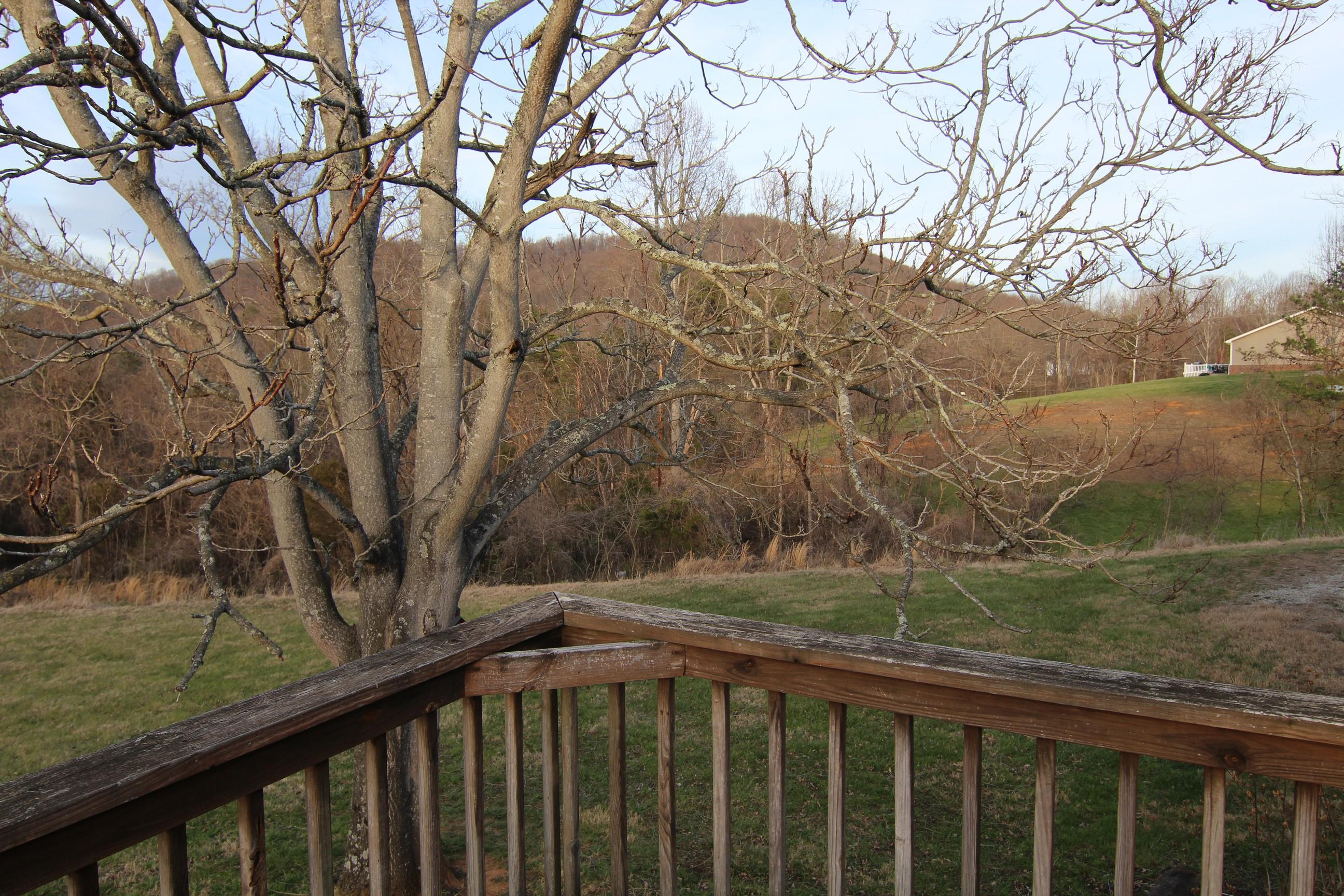 6878 Goodview Road Goodview, VA 24095 - Photo 14 of 15 a balcony with wooden floor and trees