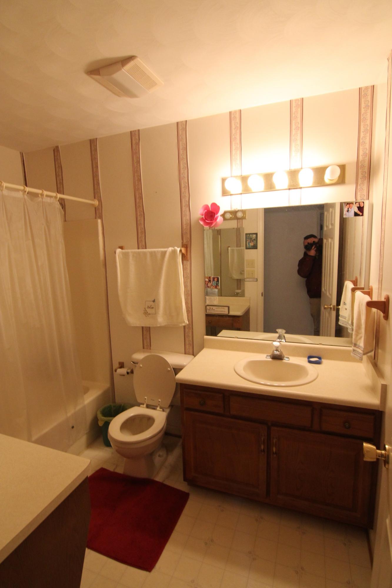 6878 Goodview Road Goodview, VA 24095 - Photo 9 of 15 a bathroom with a sink mirror vanity and toilet