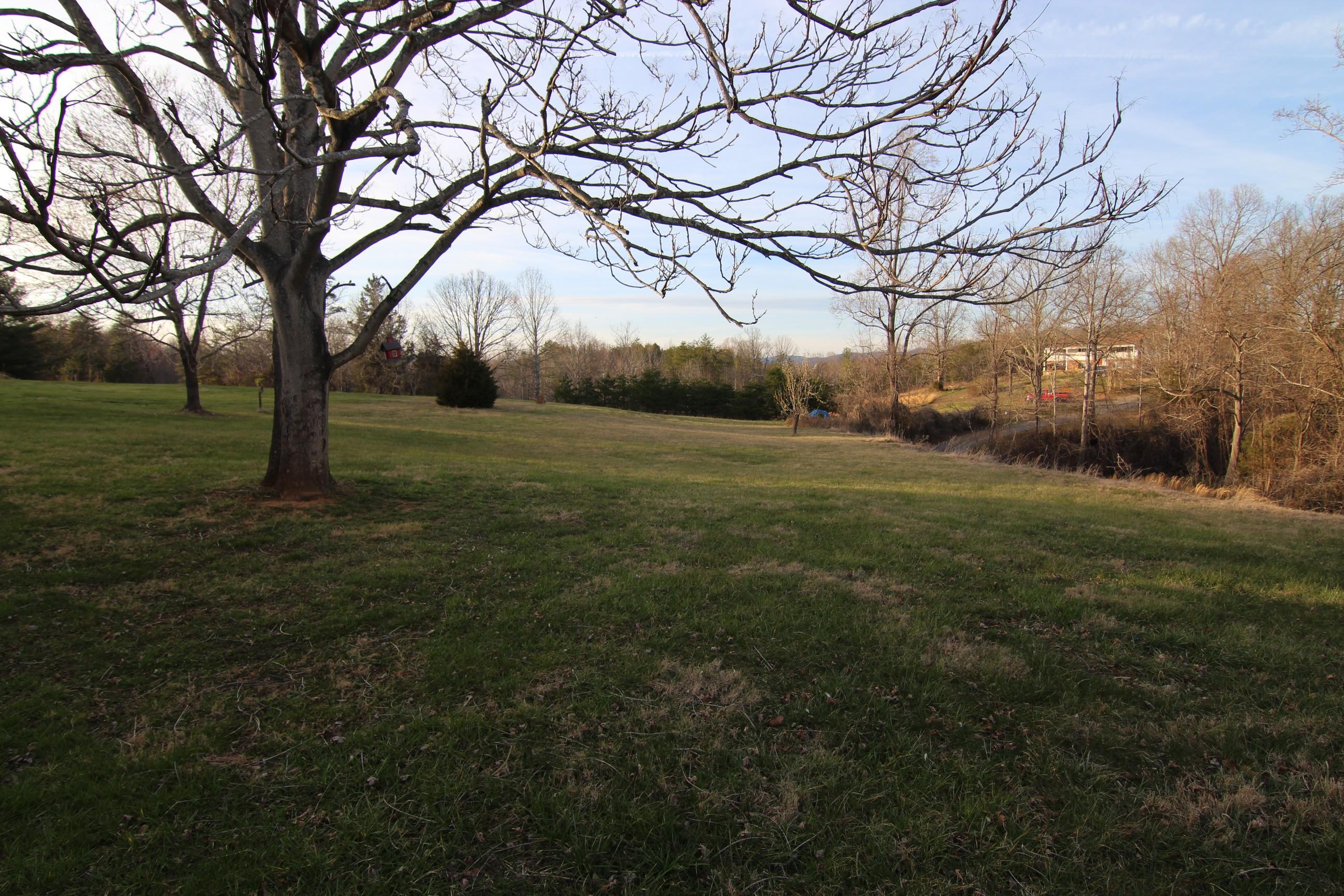 6878 Goodview Road Goodview, VA 24095 - Photo 10 of 15 a big yard with lots of green space and trees