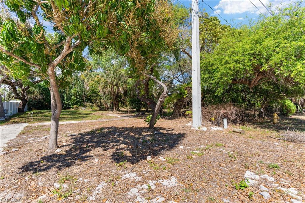 2995 Terrace Avenue Naples, FL 34104 - Photo 4 of 7 a view of a tree in the middle of a yard