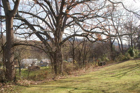 107 Garland Road Low Moor, VA 24457 - Photo 4 of 7 Rear yard with trees