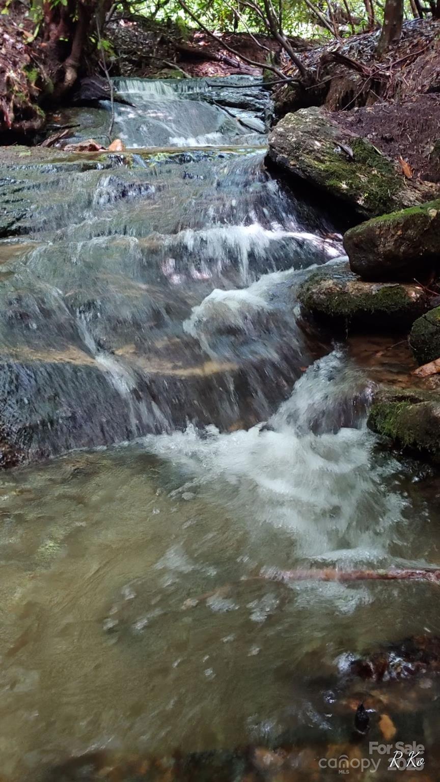 745 Broom Road Tuckasegee, NC 28783 - Photo 4 of 42