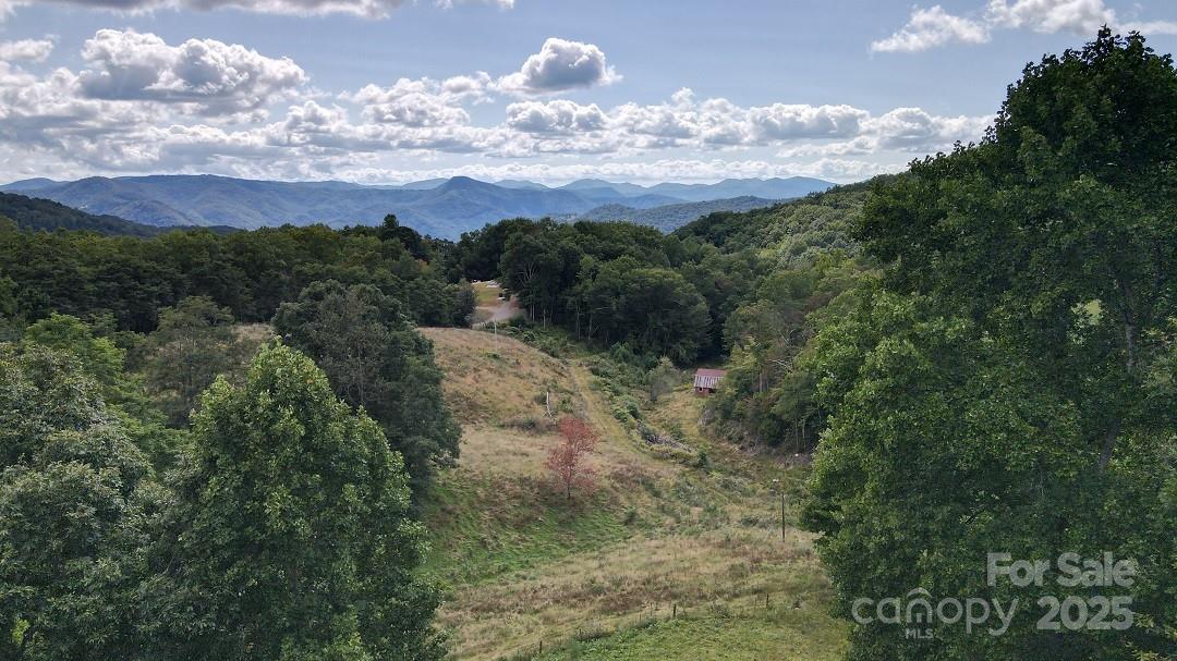 745 Broom Road Tuckasegee, NC 28783 - Photo 9 of 42