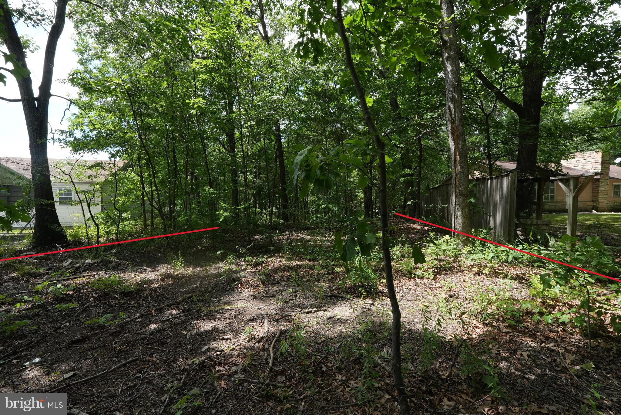 1917 South Timber Ridge Road Cross Junction, VA 22625 - Photo 4 of 19