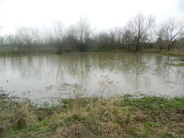a view of a lake with a yard and large trees