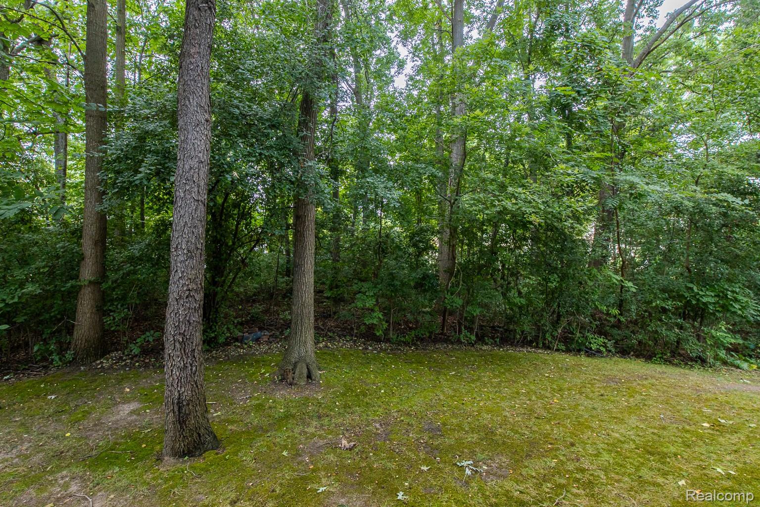 6580 Summit Ridge Court Clarkston, MI 48346 - Photo 53 of 54 Private Back Yard View 1