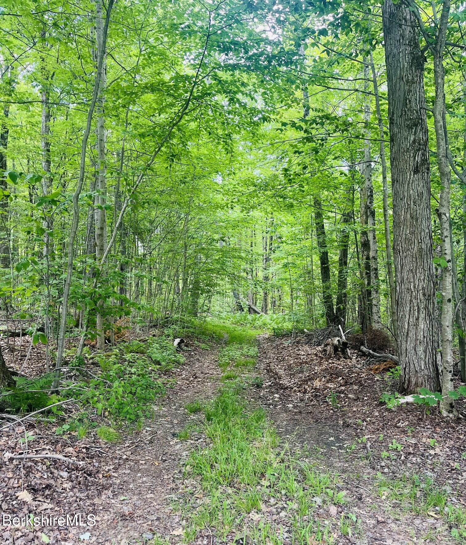Lot 0 Greylock Estates Road Lanesborough, MA 01237 - Photo 2 of 5 Pic 1