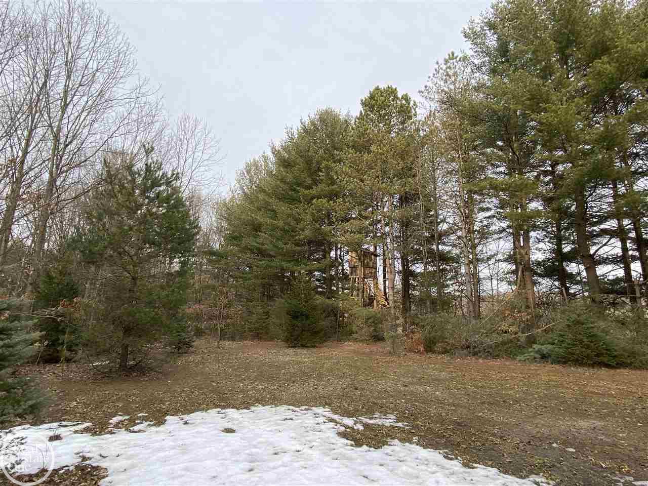 3250 Garlick Road North Street, MI 48049 - Photo 66 of 75