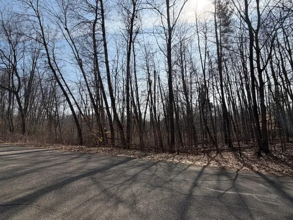 $64,900 | 12952 Bowen Lake Drive, Gowen, MI 49326