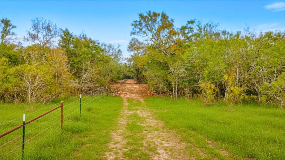 0 Armstrong Derry Road Waelder, TX 78959 - Photo 6 of 13