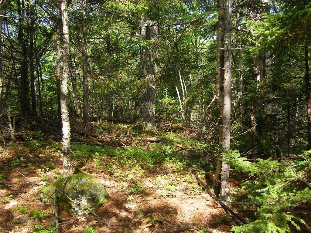547 West Side Road Trevett, ME 04571 - Photo 11 of 18 Beautiful Wooded Lot