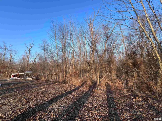 $39,500 | 11 Choctaw Drive, Carbondale, IL 62901