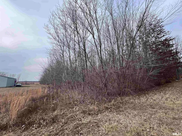 $39,500 | 11 Choctaw Drive, Carbondale, IL 62901