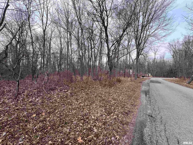 $39,500 | 11 Choctaw Drive, Carbondale, IL 62901