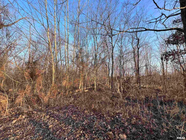 $39,500 | 11 Choctaw Drive, Carbondale, IL 62901