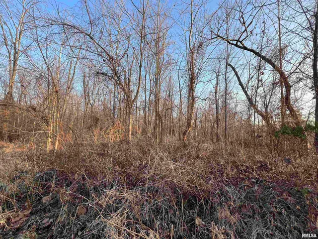 $39,500 | 11 Choctaw Drive, Carbondale, IL 62901