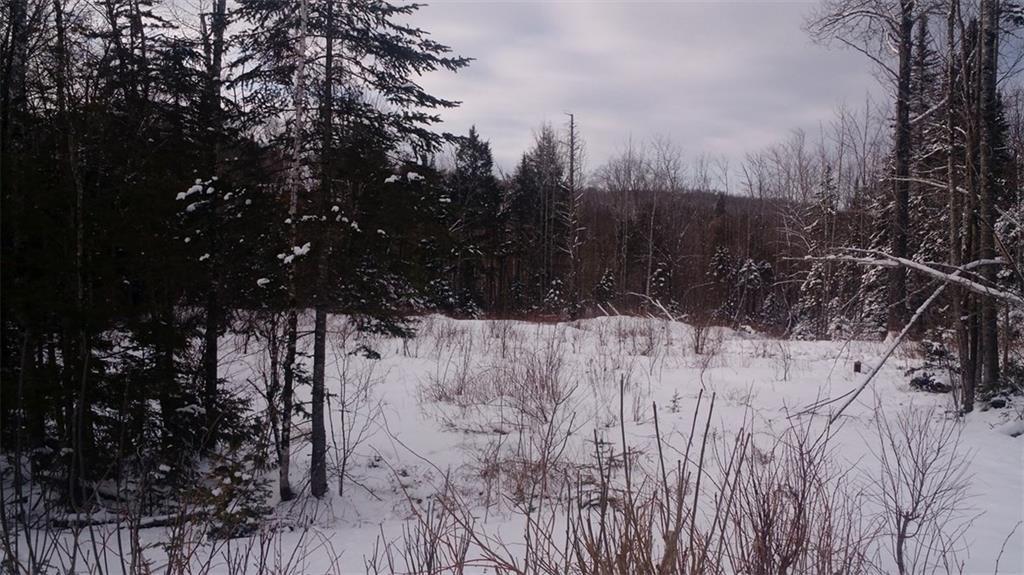 Lot 1.3 Pond Road Dyer Brook, ME 04747 - Photo 4 of 9 Photo