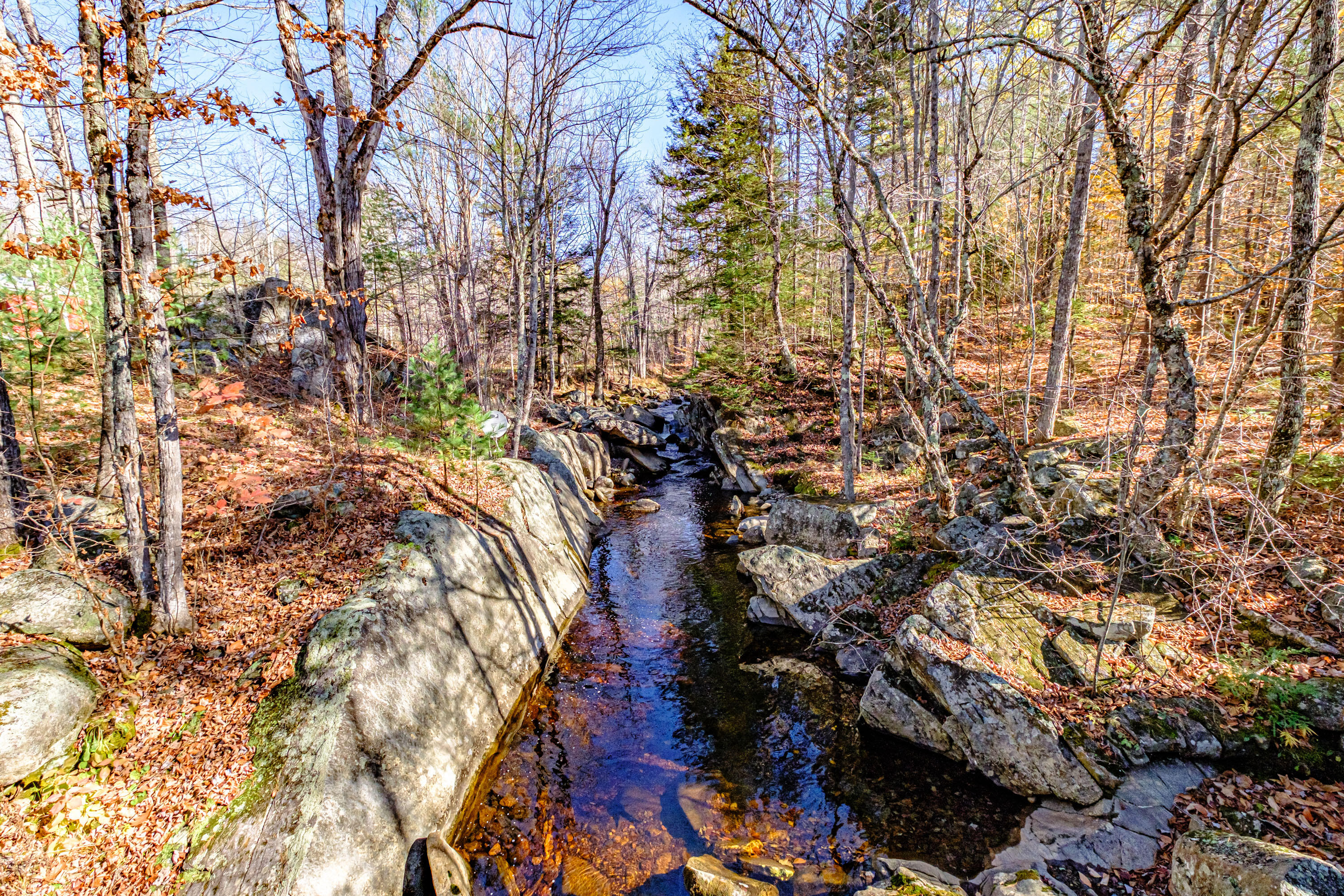 55 Branch Road Newry, ME 04261 - Photo 17 of 34 20211028gp-61038