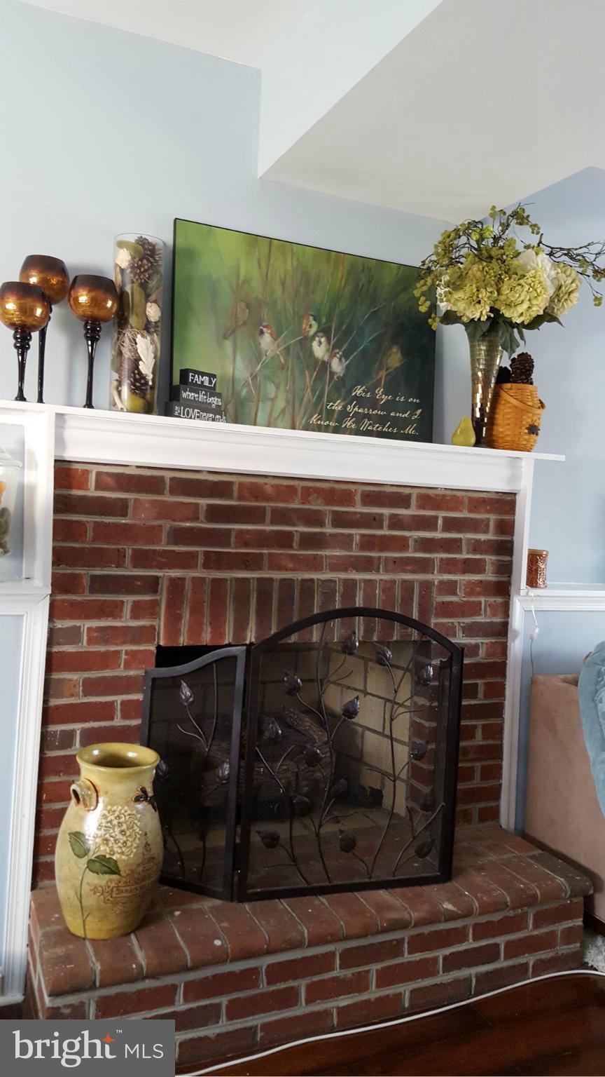 646 San Gabriel Road Lusby, MD 20657 - Photo 15 of 22 Gas Fireplace