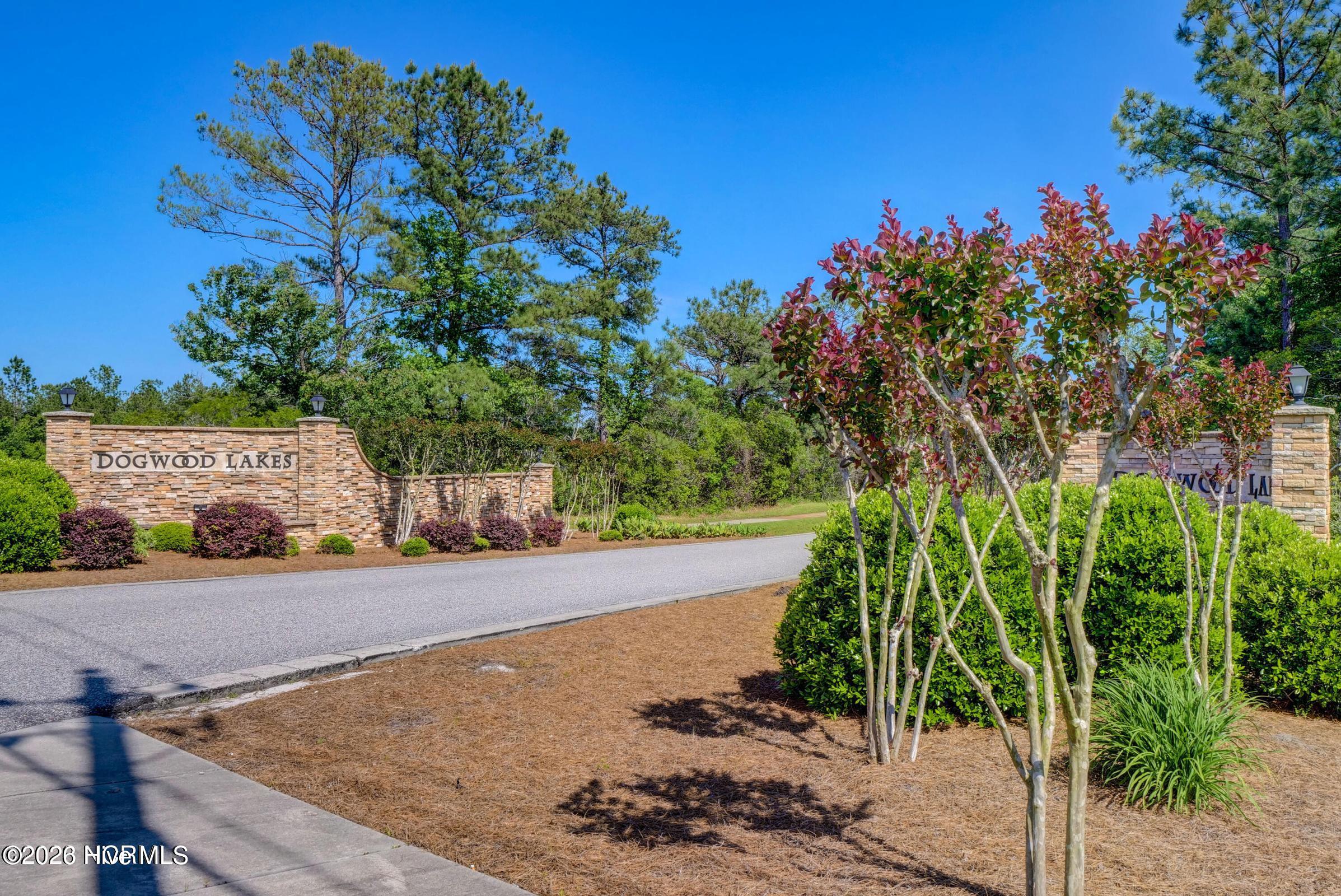 151 Cornel Lane Hampstead, NC 28443 - Photo 8 of 11 DWL - 4