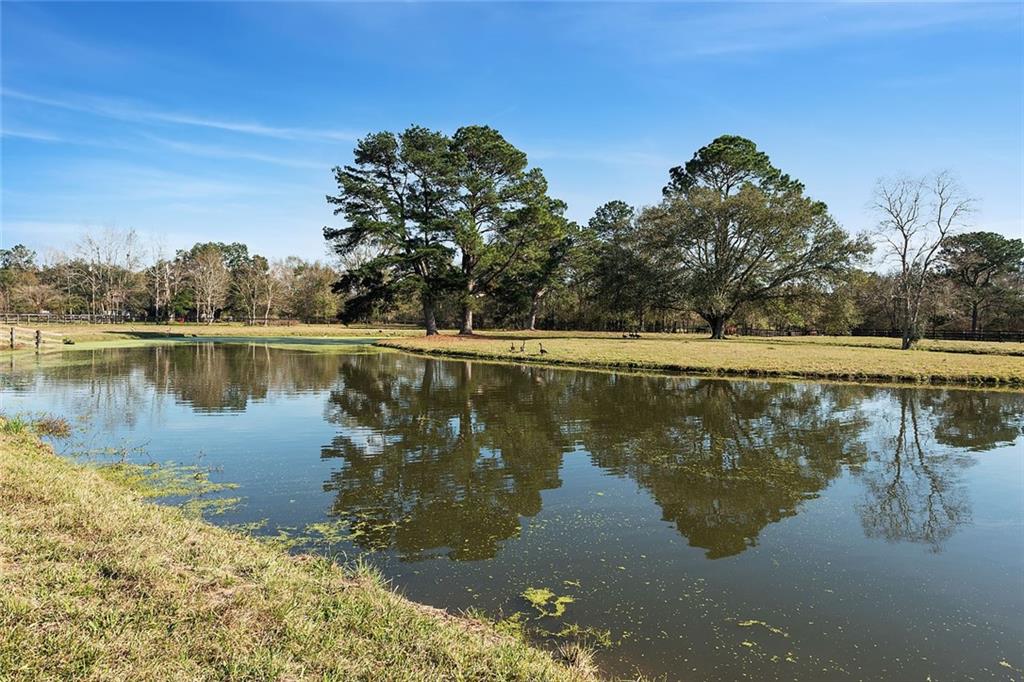 79200 Booth Road Folsom, LA 70437 - Photo 12 of 36