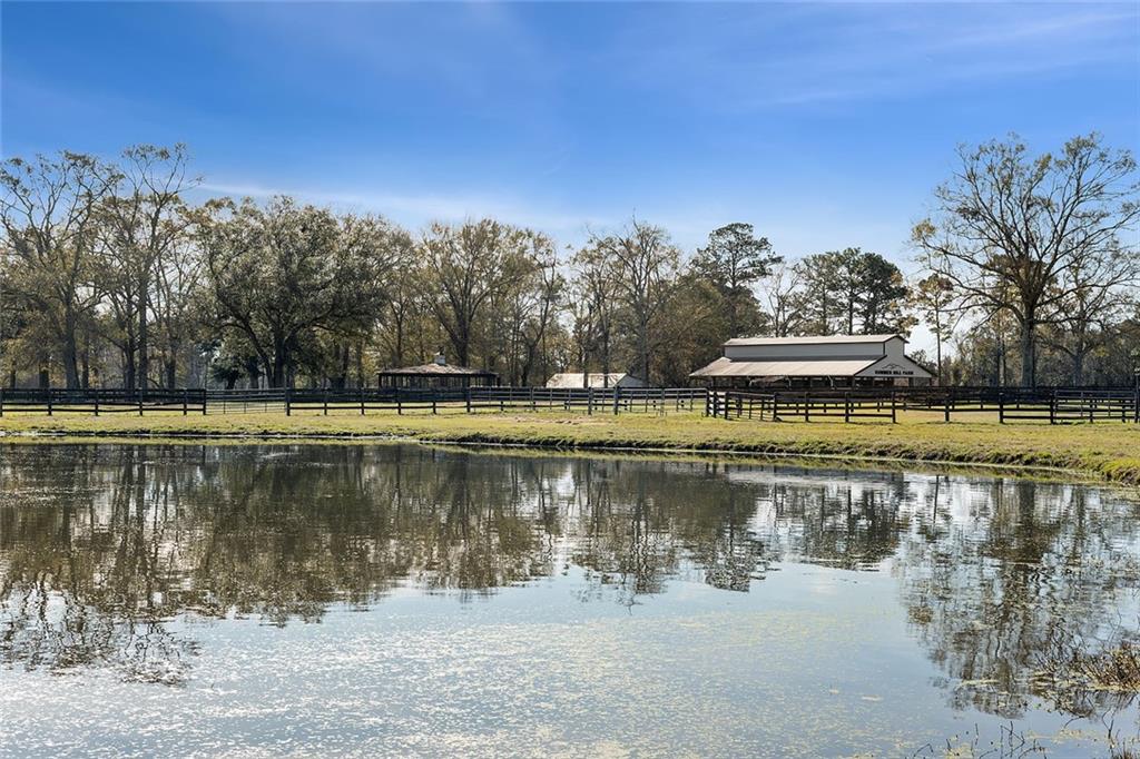 79200 Booth Road Folsom, LA 70437 - Photo 13 of 36